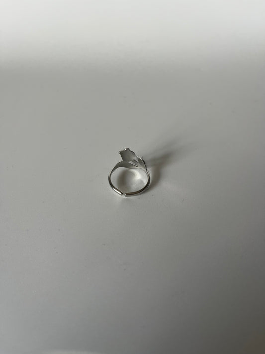 DAN Ring