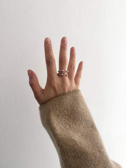 TINE Ring